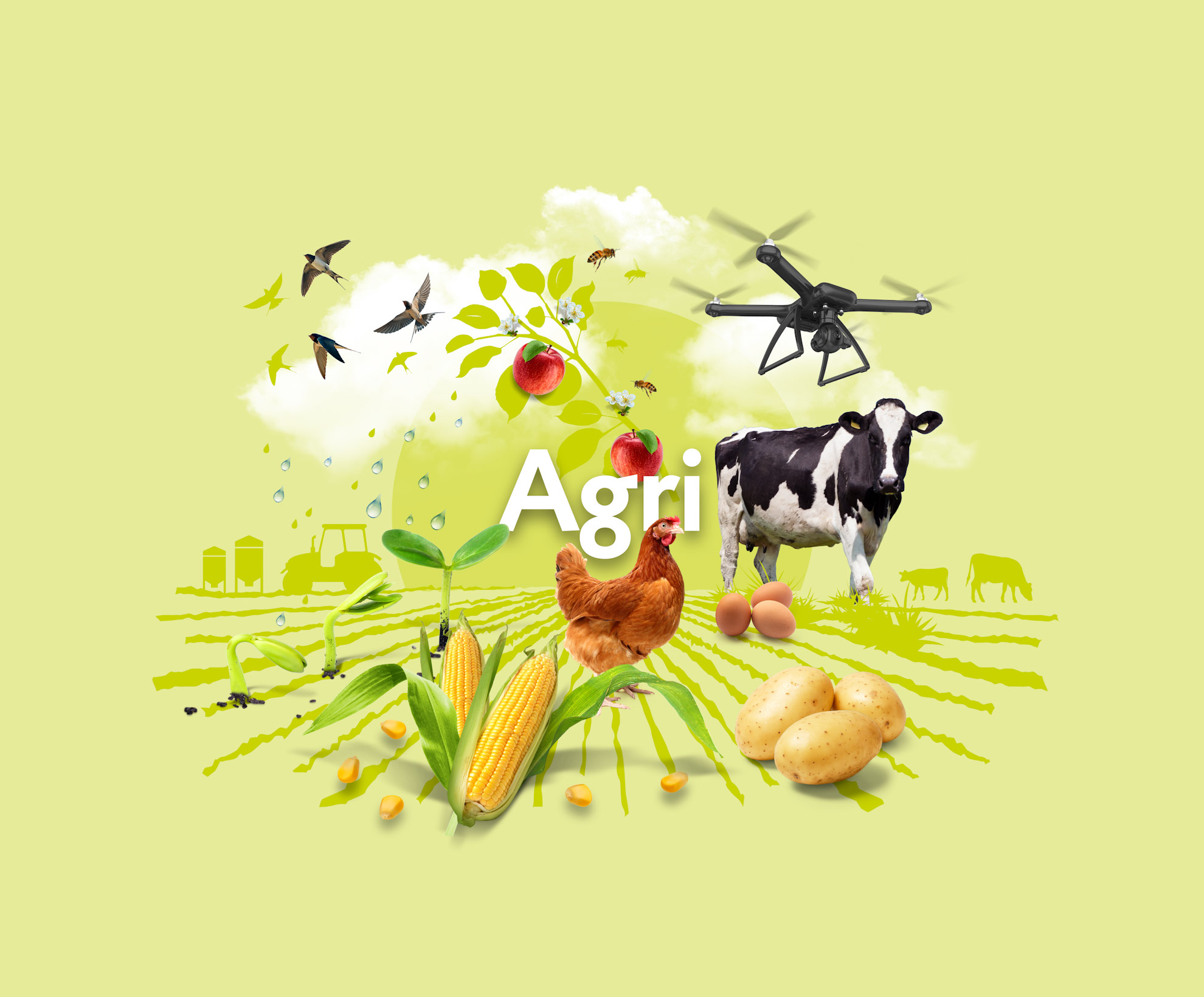 Area of expertise Agri