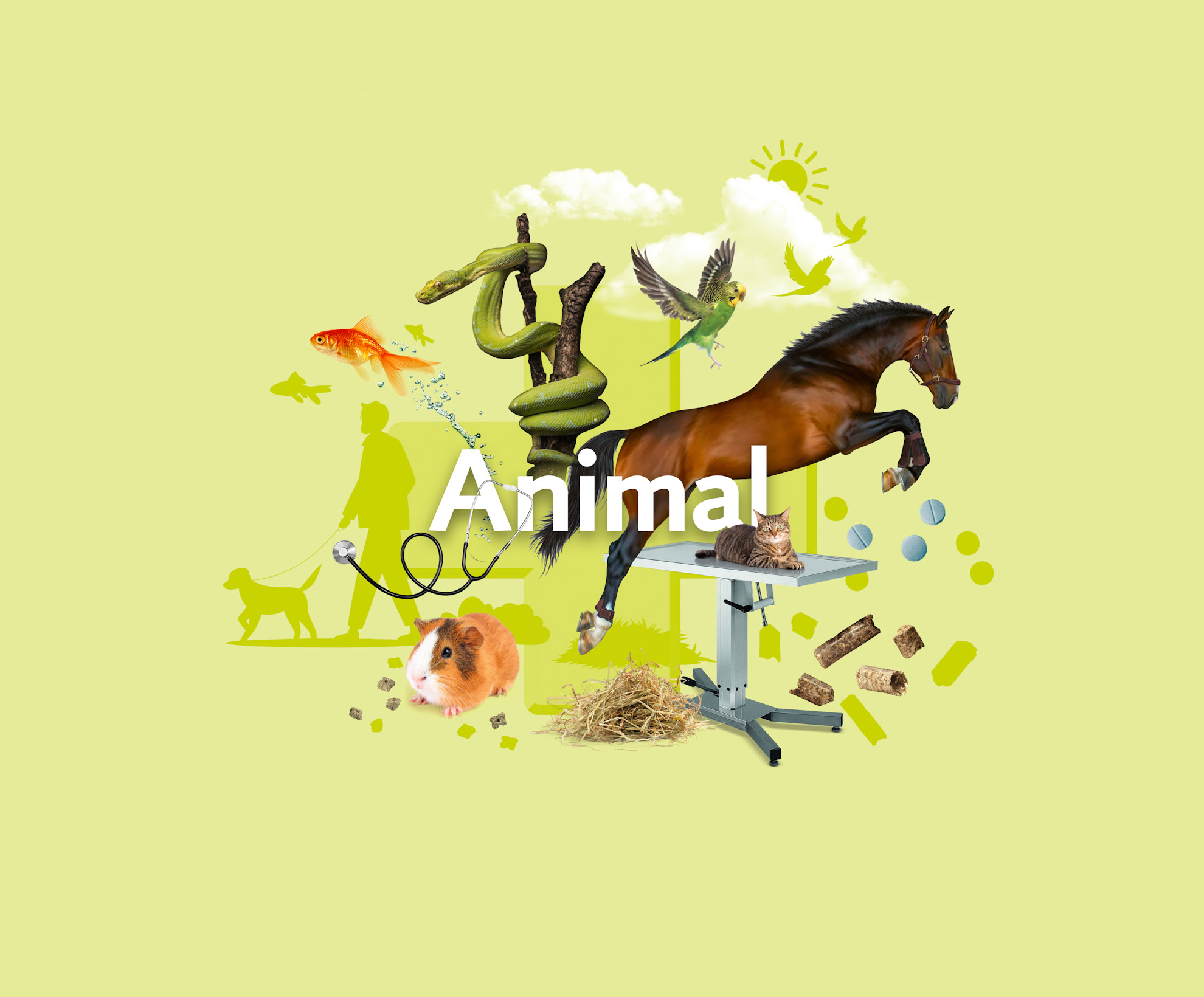Area of expertise Animal