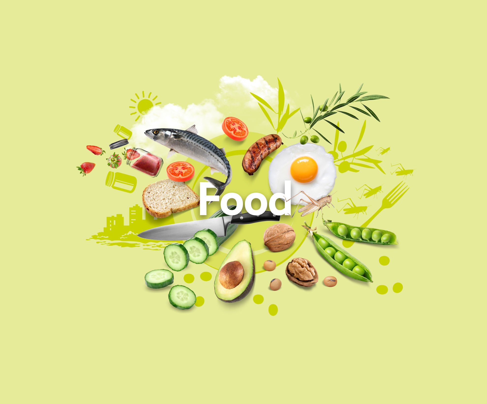 Area of expertise Food