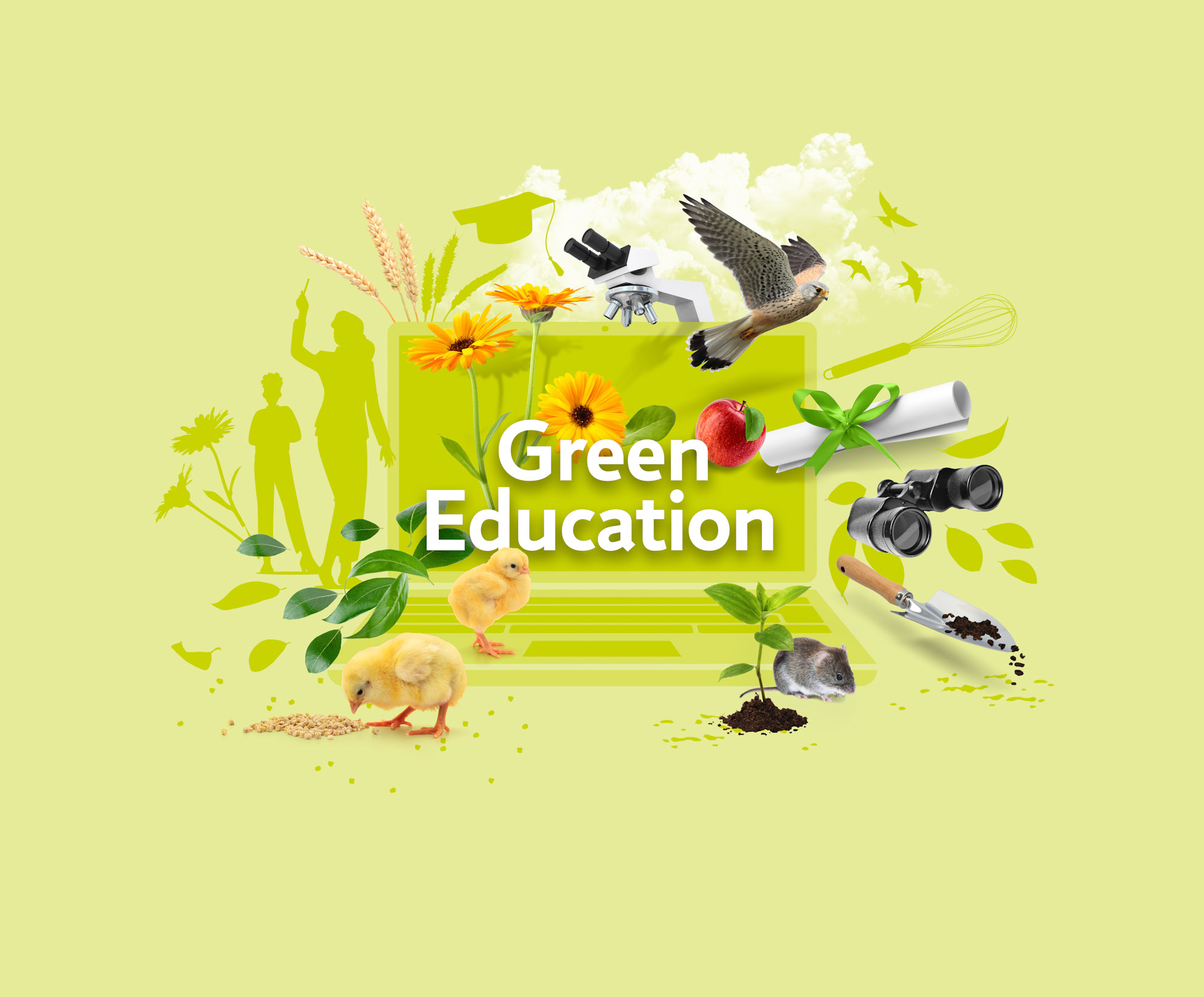 Area of expertise Green education