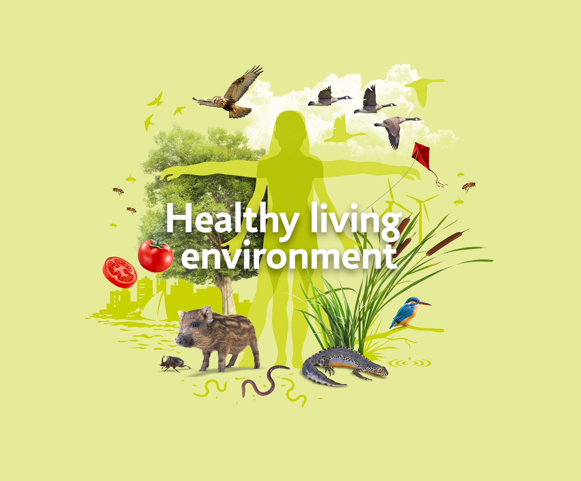 Area of expertise Healthy living environment