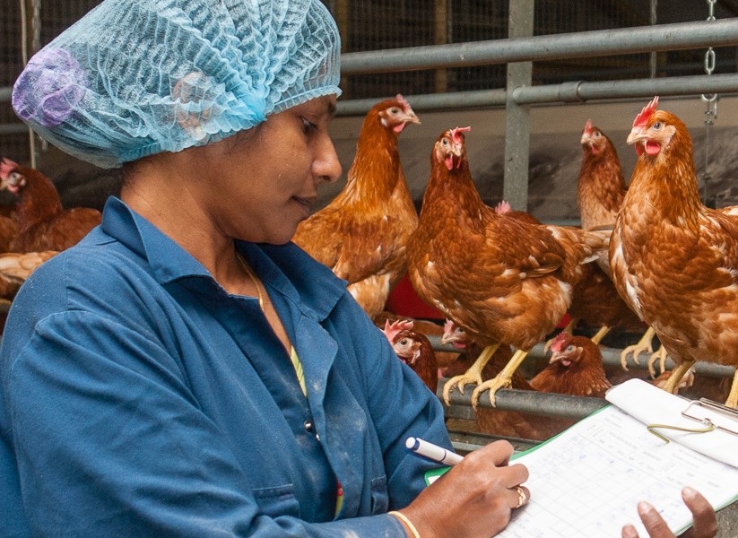 International student in a chicken coop making notes