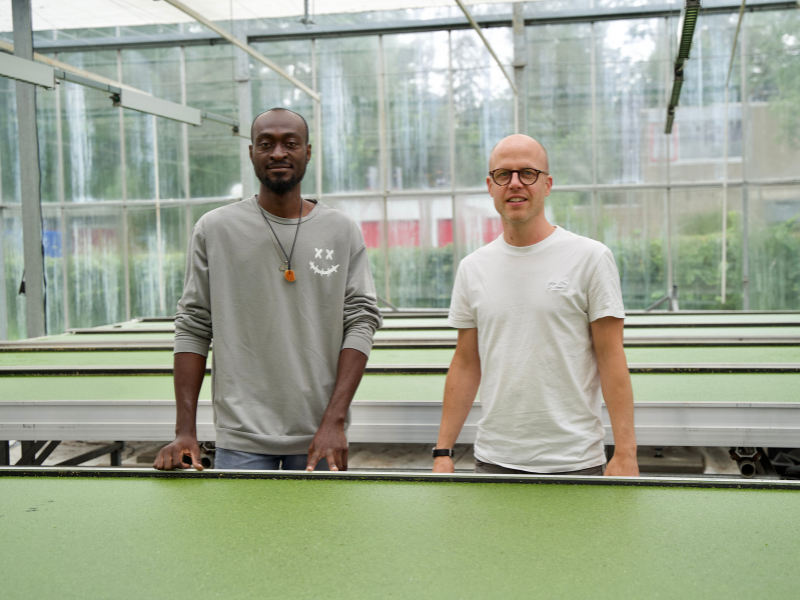 Two students in a greenhouse