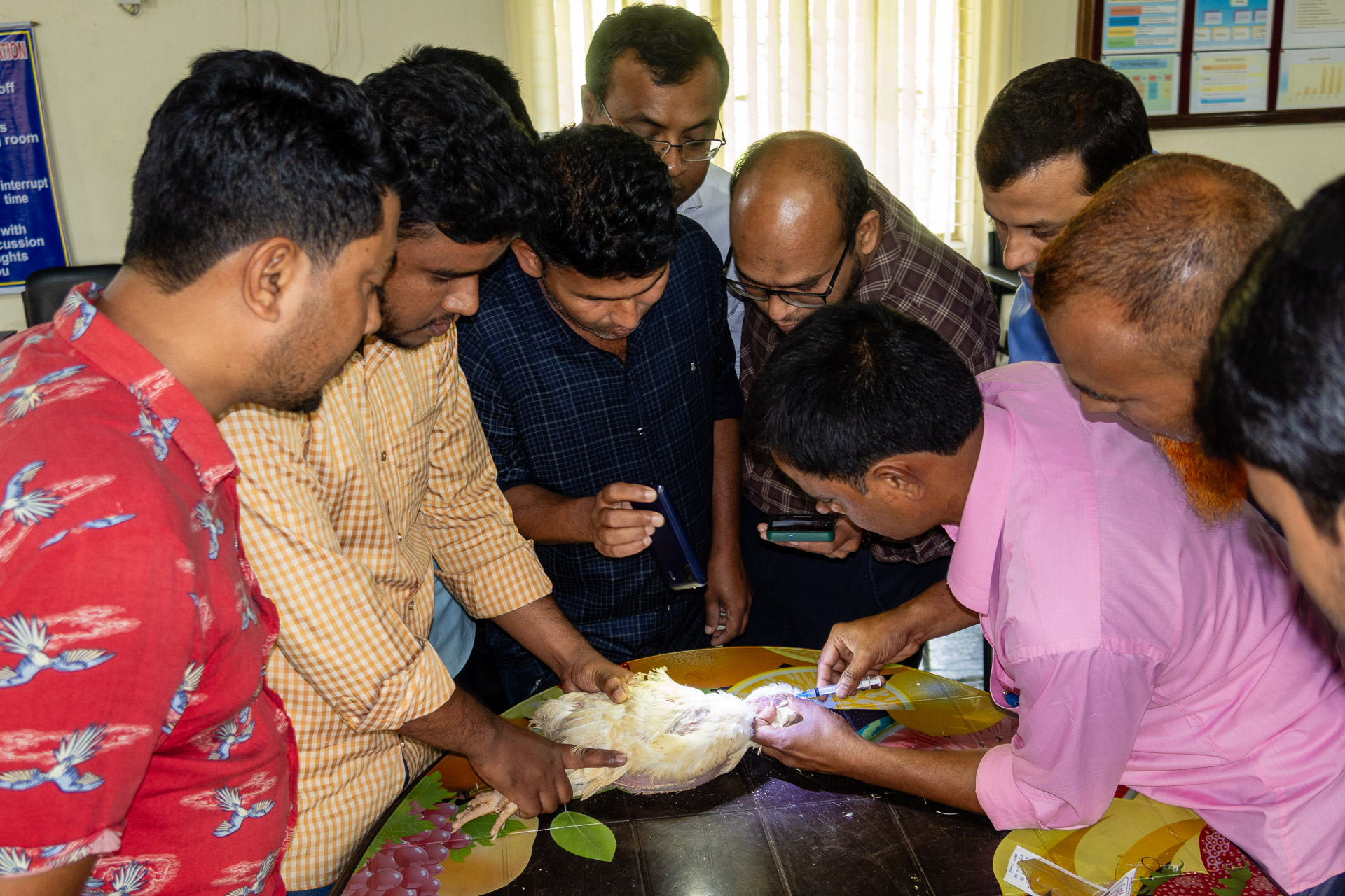 Poultry managers and farmers during a practical lesson in Bangladesh